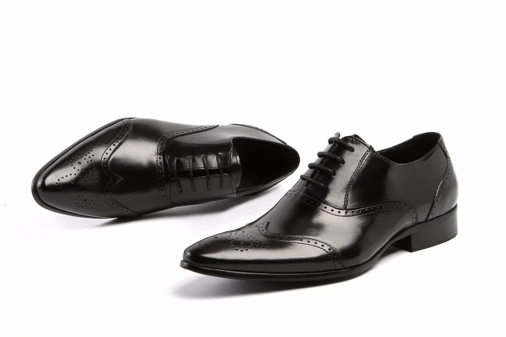 2392600530_1699287148 (1)