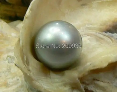 

huij 00287 PERFECT NATURAL 12MM AUSTRALIAN SOUTH SEA GENUINE GREY SILVER LOOSE PEARL UNDRIL