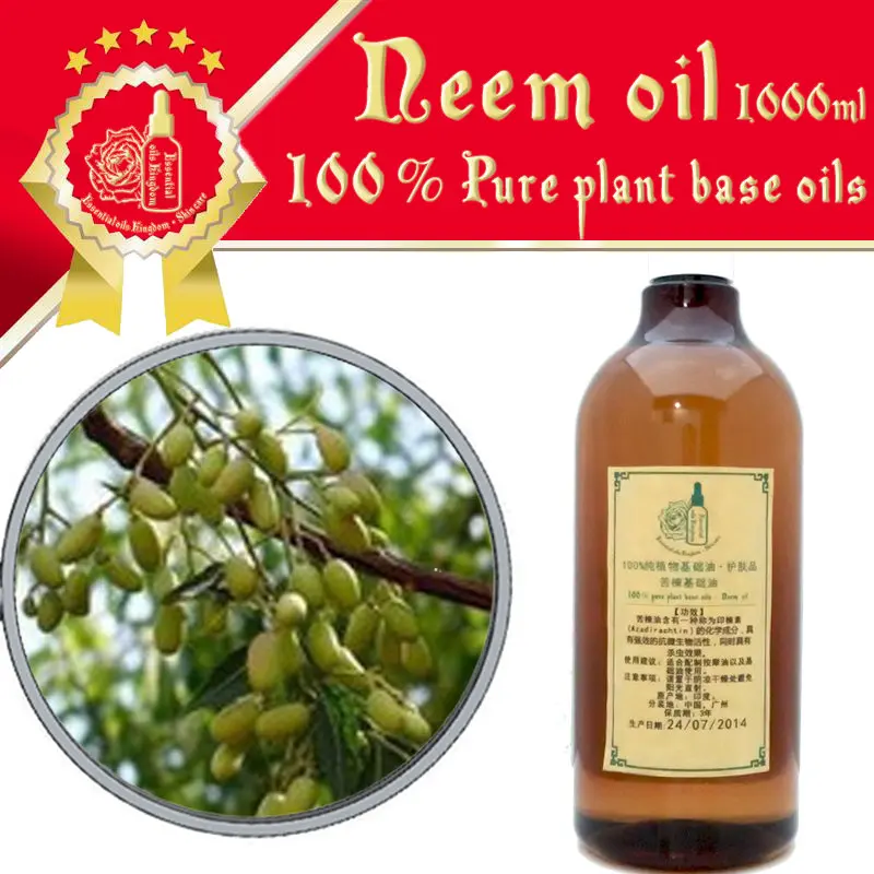 100 pure plant base oils chinaberry oil 1000ml Cold pressed neem oil