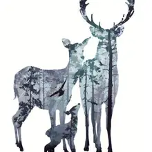 Paint by Numbers Kits for Adults DIY