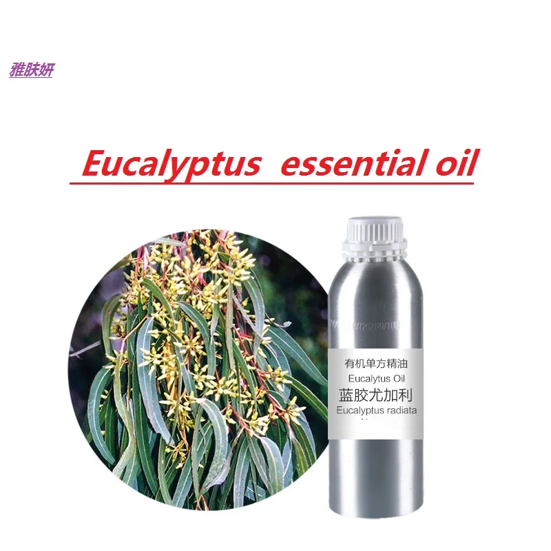 

50g-100g/bottle Eucalyptus essential oil organic cold pressed vegetable & plant oil skin care oil free shipping