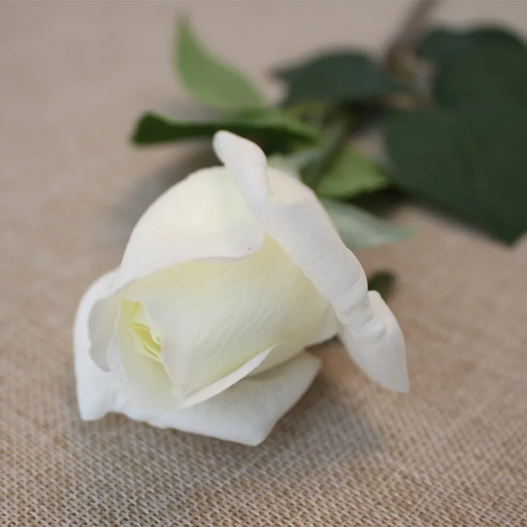 TB2eJh8cVXXXXXtXpXXXXXXXXXX_!!2528354110