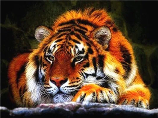 HUACAN 5D алмазная живопись животное тигр полная картина из квадратных стразов вышивка Алмазная мозаика домашний Декор подарок - Цвет: FV9251