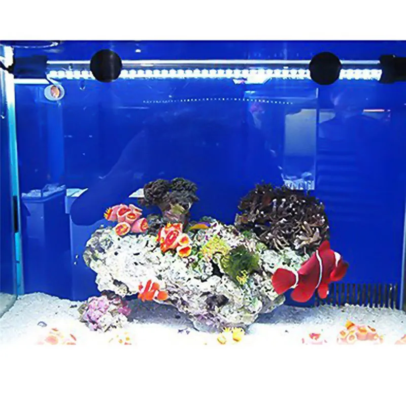 HTB1g6N9SFXXXXXxaXXXq6xXFXXXW