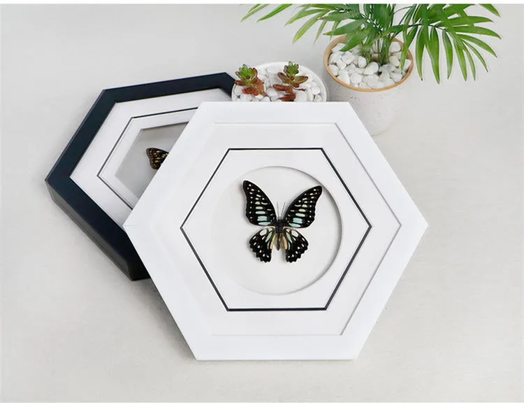Бабочка декоративная картина настоящая бабочка образец насекомое образец стерео 3D фоторамка гостиная Шестигранная поделка подарки