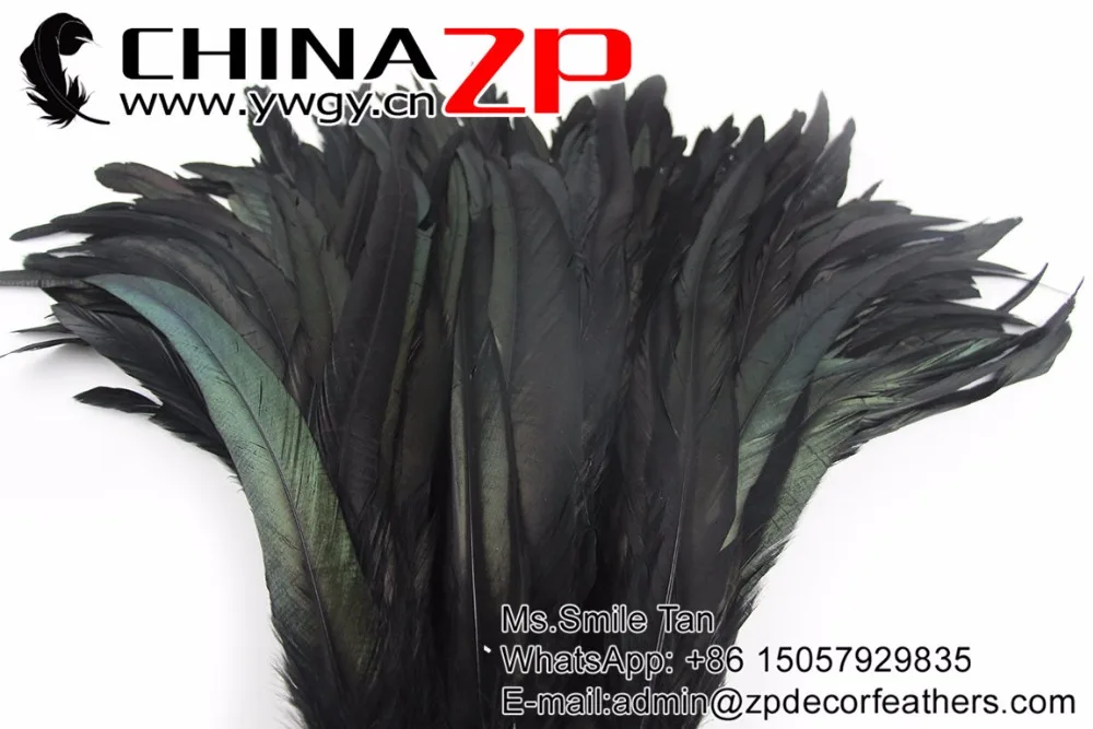 6 Natural Directly Dyed Decoration Rooster Tail Feathers (9)