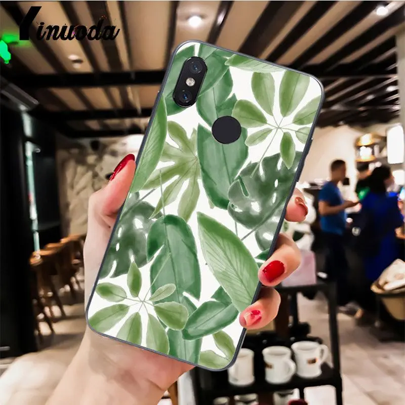 Palm tree Leaves pattern  