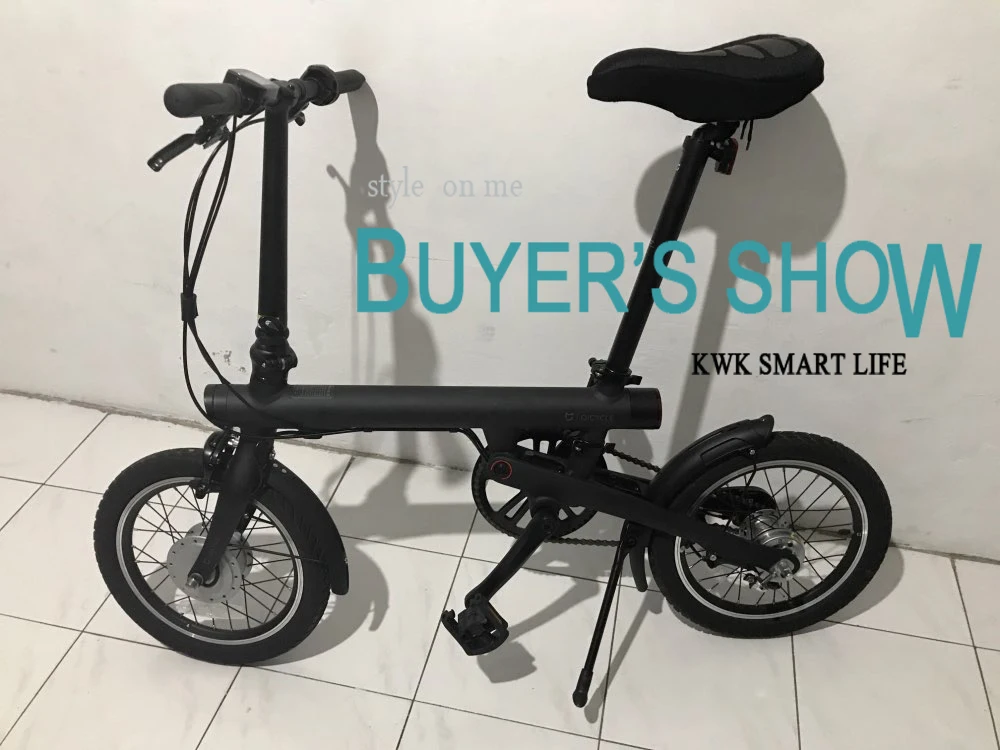 Original bike Mudguard and Kickstand for Qicycle EF1 electric bike One Set