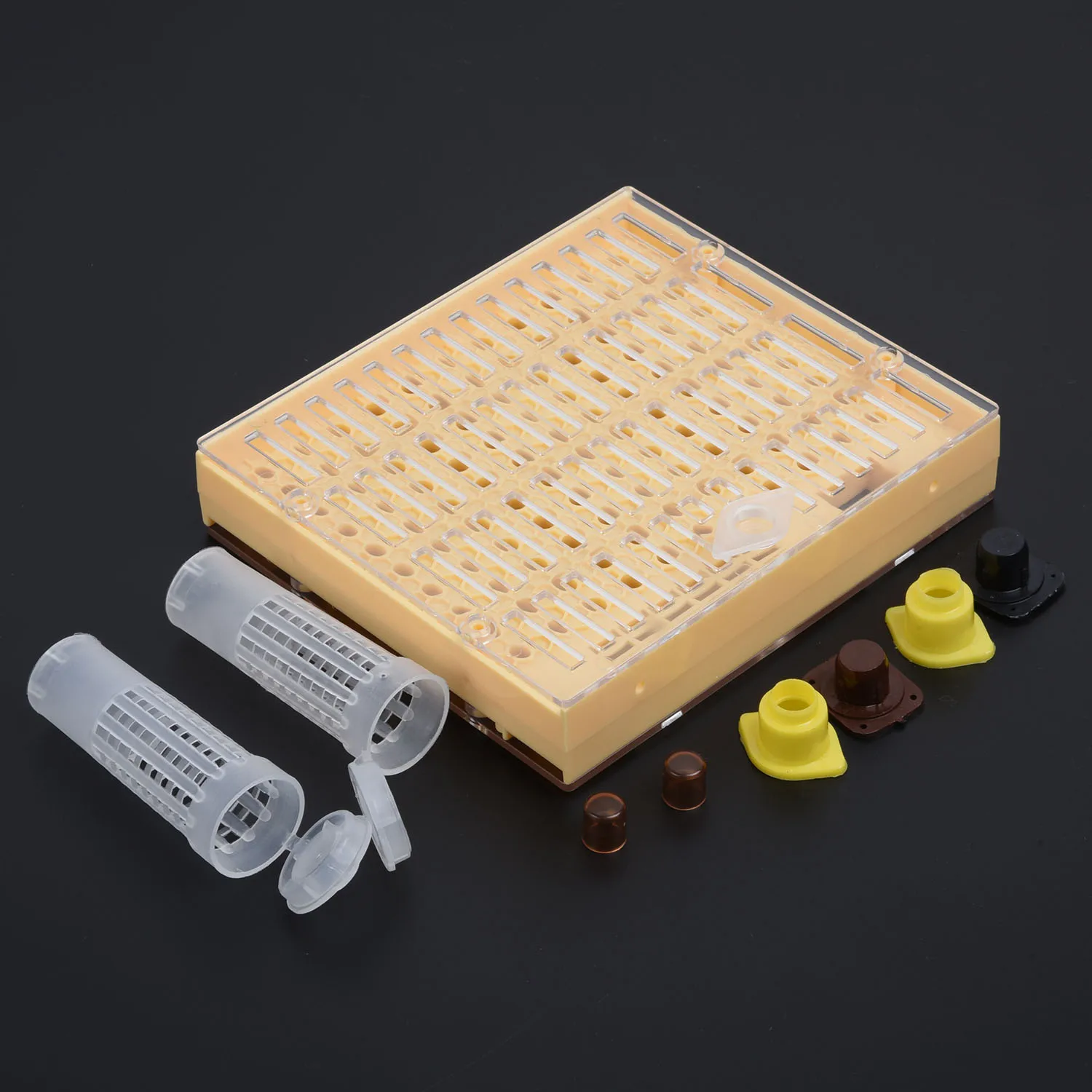 

Holders Beekeeping Suit Kit Accessories Cupkit Box Hair Cage Cell 441pcs Plastic Queen Rearing Useful Reliable