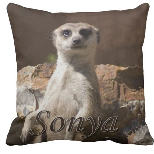 personalised meerkat teddy