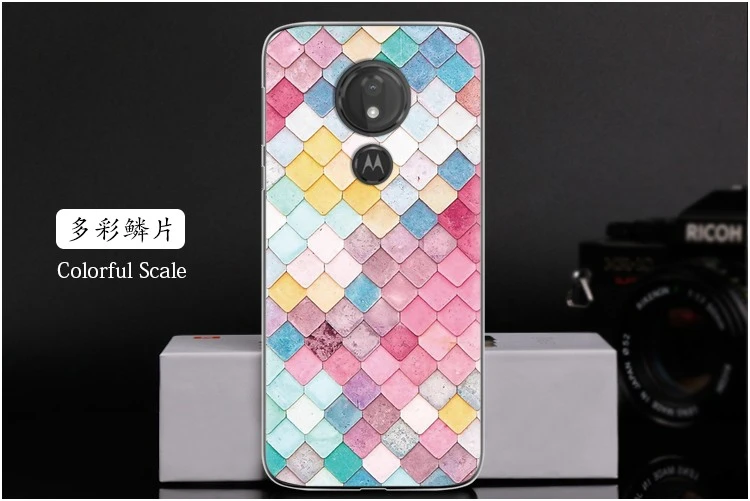  Colorful Scale