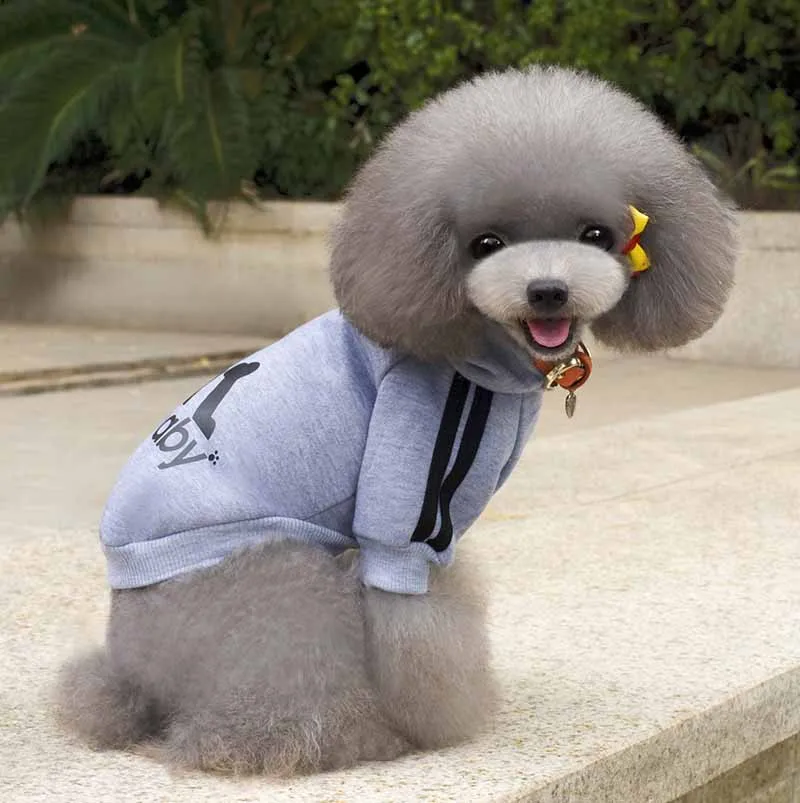 XS S M L XL XXL Pet Dog Clothes Sport Dog Hoodie Chihuahua Sweater Coat for Small Dogs Cats Pet Supplies Puppy Costume Black Red Yellow Gray 10