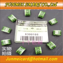 BELG голубь кольца с картами птица кольцо