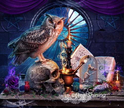 eagle skull books(1)