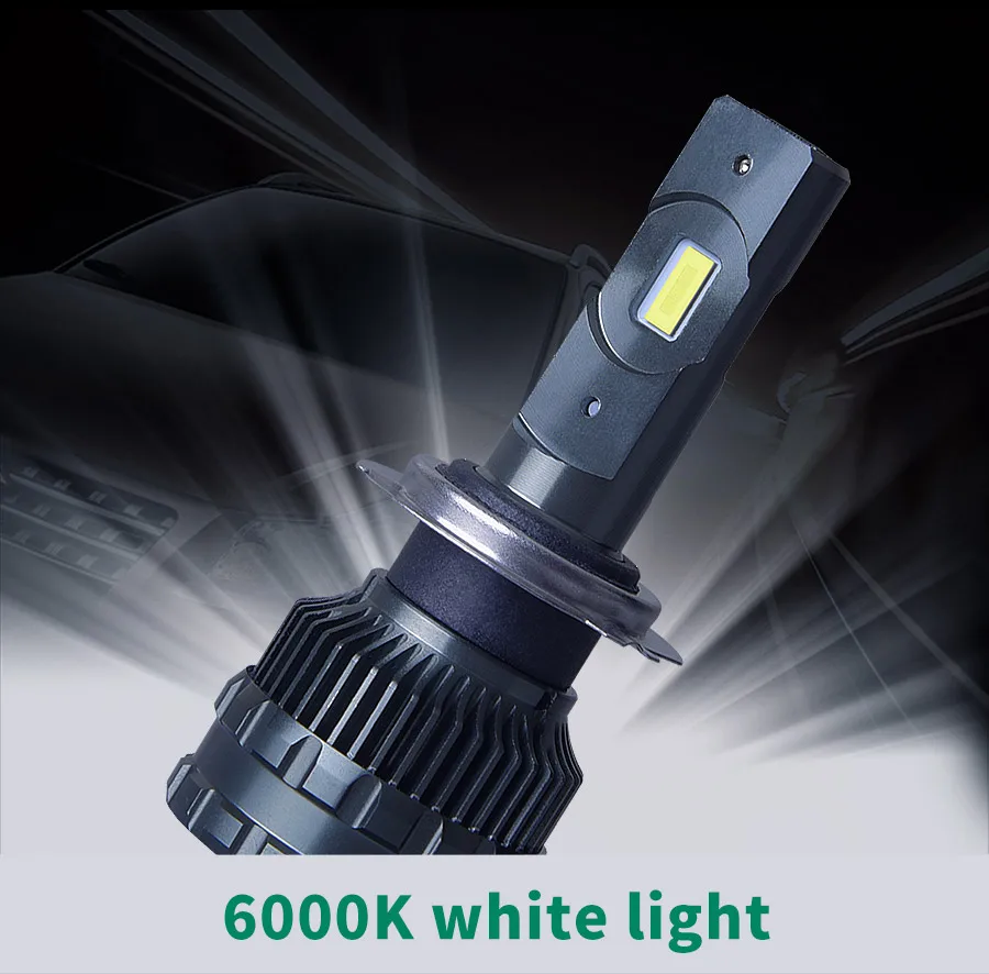 LED--_05