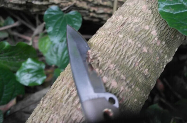 1837741463_742635196