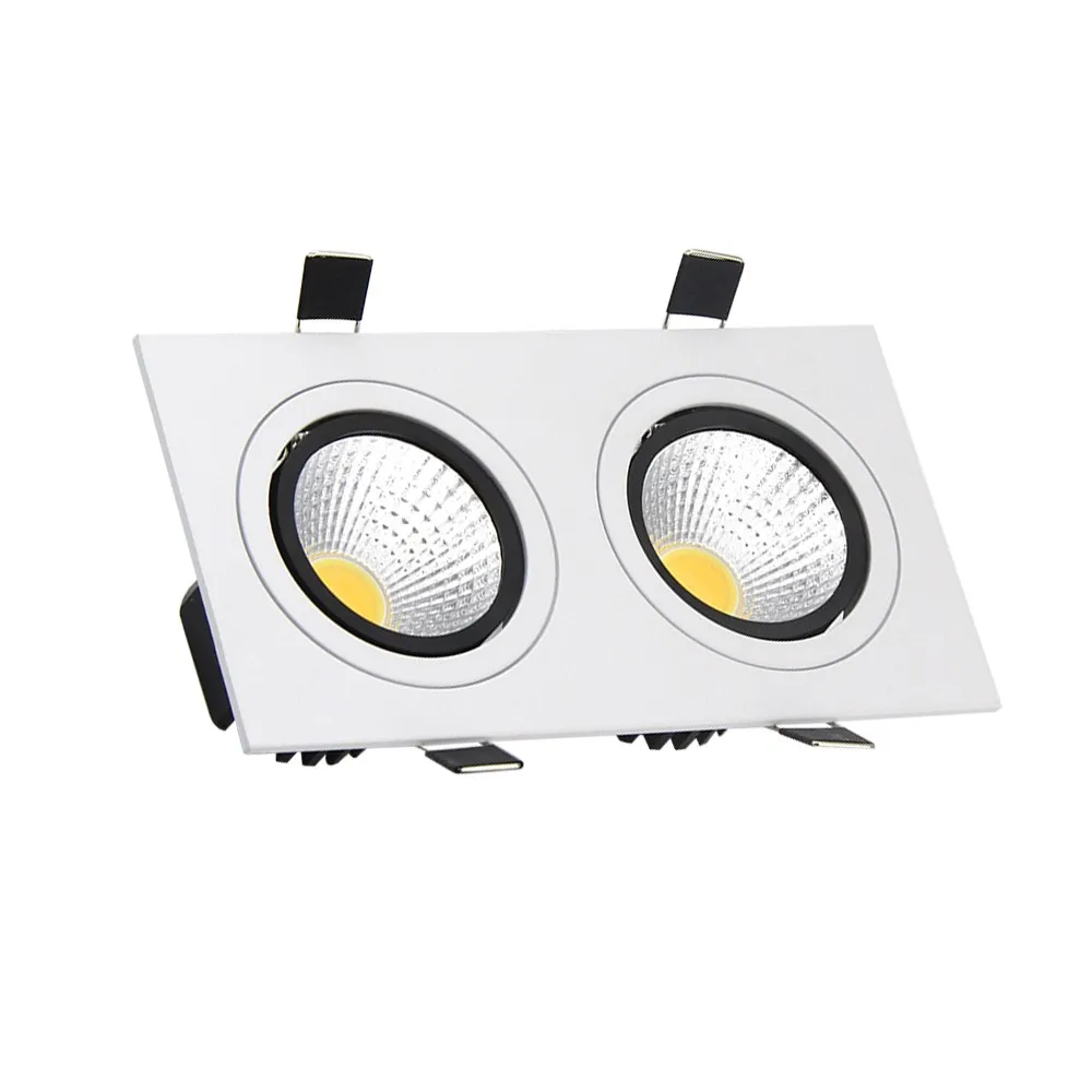 double head downlight  (6)