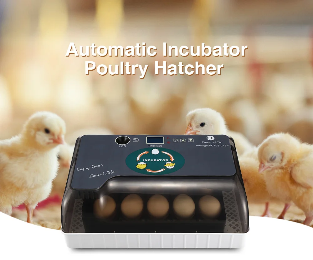

Household Automatic Hatching Incubator Digital Temperature Control With LED Light Egg Incubator