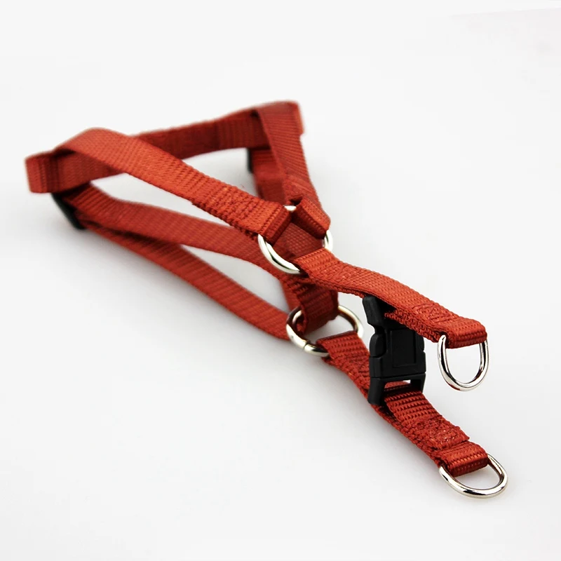 dog harness (28)