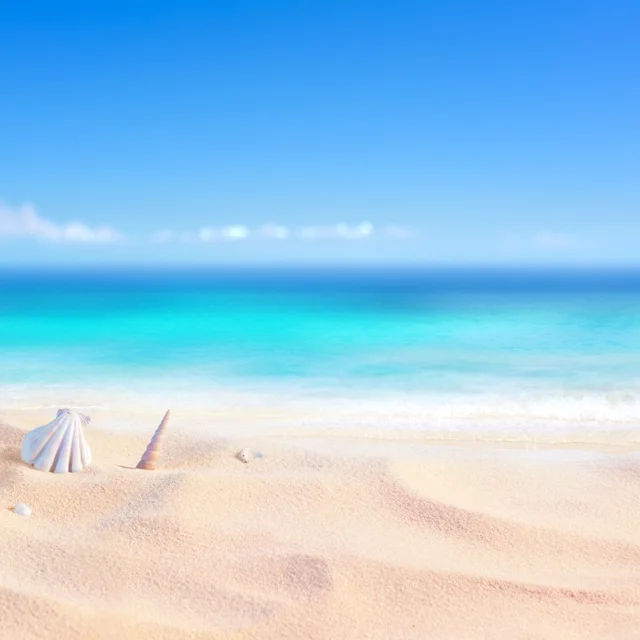Tropical Sea Beach Sand Shell Coral Blue Sky Summer Holiday Baby Pet Scene Photographic Backgrounds Photo Backdrops Photo Studio