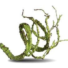 Bendable Artificial Tree Vine