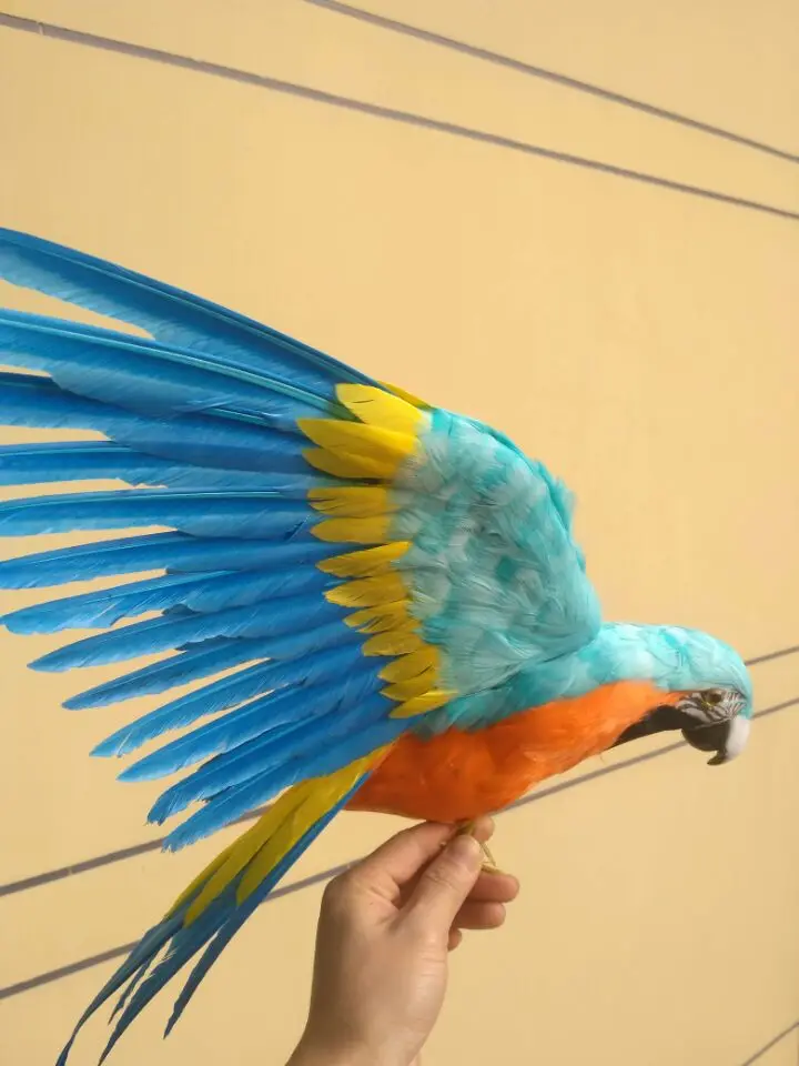 Большой моделирования синий и Orange попугай модель полиэтилена и меха крылья попугай кукла подарок около 60x45 см