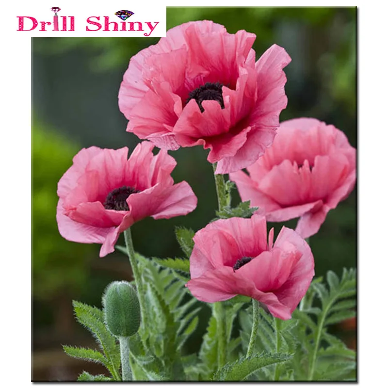 5D Diamond Embroidery Flowers DIY Painting Cross Stitch kit Mosaic Abstract Oil Resin Craft Home Decoration | Дом и сад