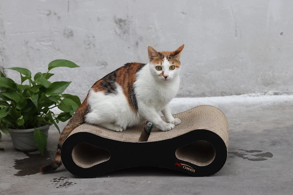 Новинка! Когтеточка для кошек, мягкая кровать для кошек, картонная бумага высокого качества, Когтеточка для кошек