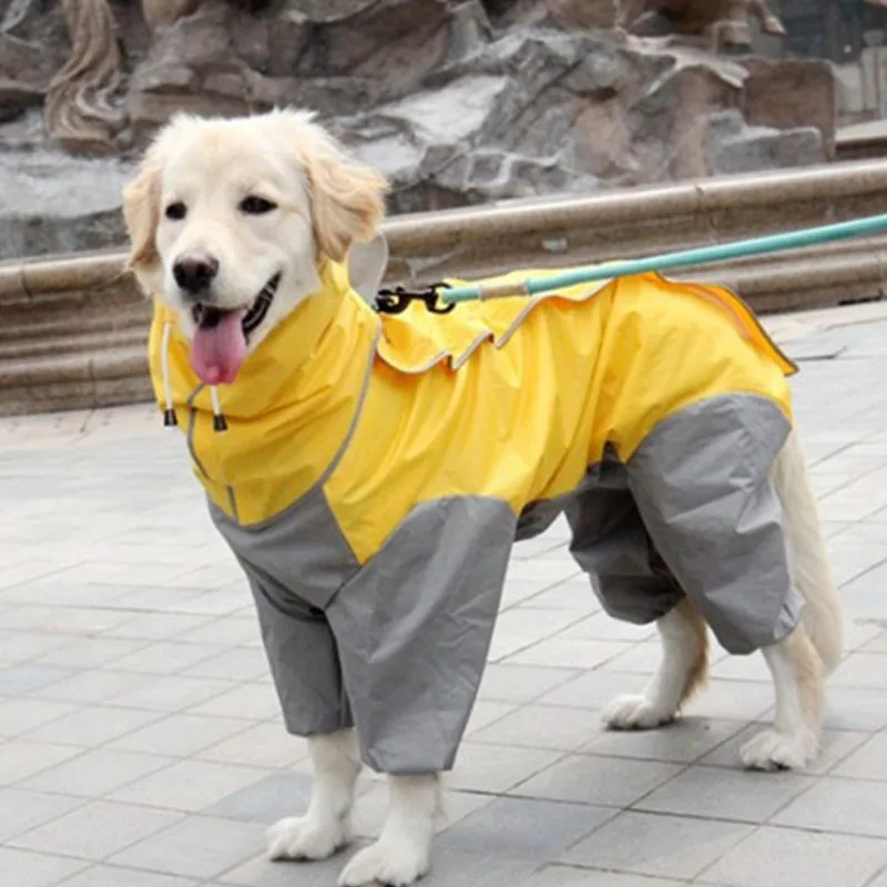 Cheap Capas de chuva para cães