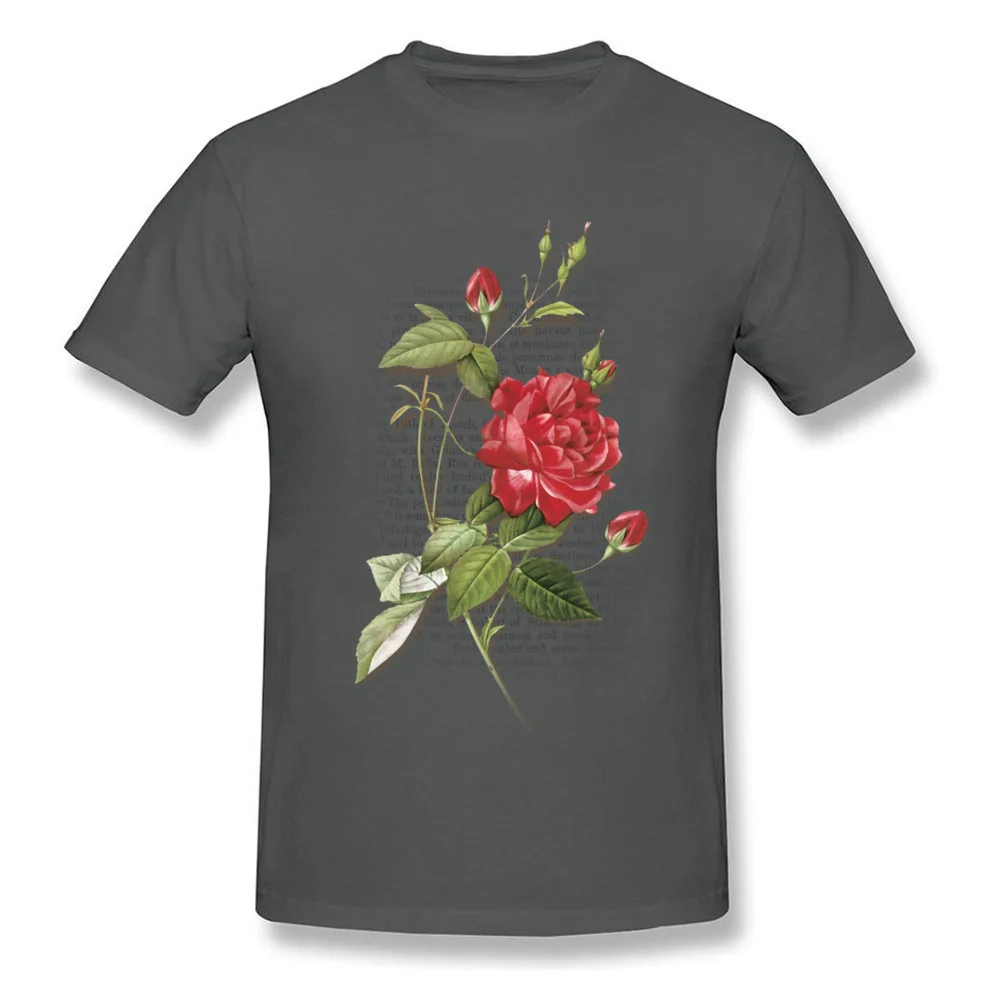 Rose Rouge Red Rose_carbon