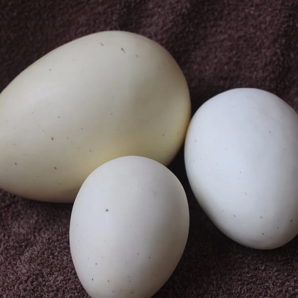 Burung Unta Telur Lukisan Model Simulasi Dinosaurus Telur Paskah