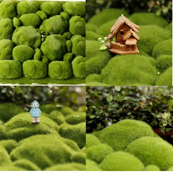 

Micro landscape diy creative simulation moss fake stone ecological bottle decorative lawn moss office stone artificial grass