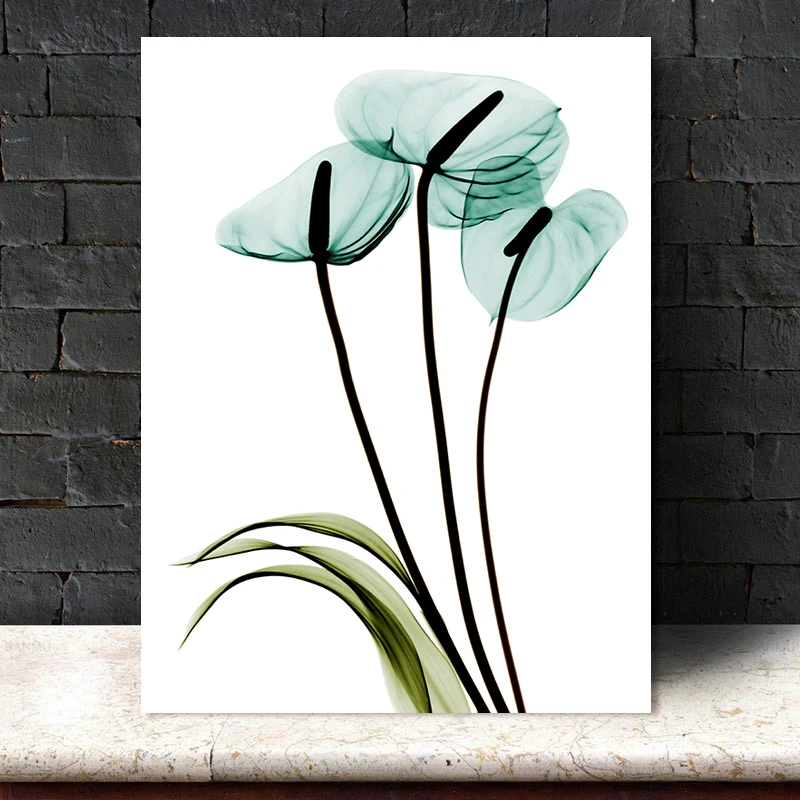 

Botanical Canvas Paintings Blue Green Calla Prints Picture Modern Transparent Flowers Floral Wall Art Simple Room Decor Minimali