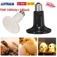 2PC 75W E27 Infrared Ceramic Heat Emitter Lamp Bulb for Reptile Pet Brooder AU