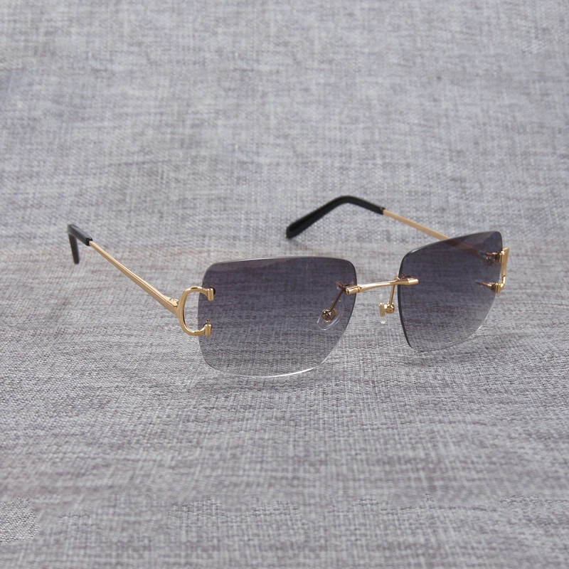 rimless sunglasses (2)