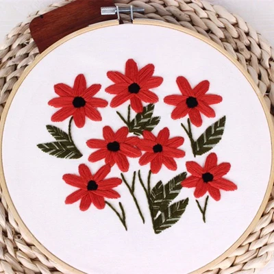 20x20 см 3D DIY Красочные цветок вышивка набор рукоделие Наборы вышивки крестом с обручем для начинающих ручной работы настенные картины - Цвет: C