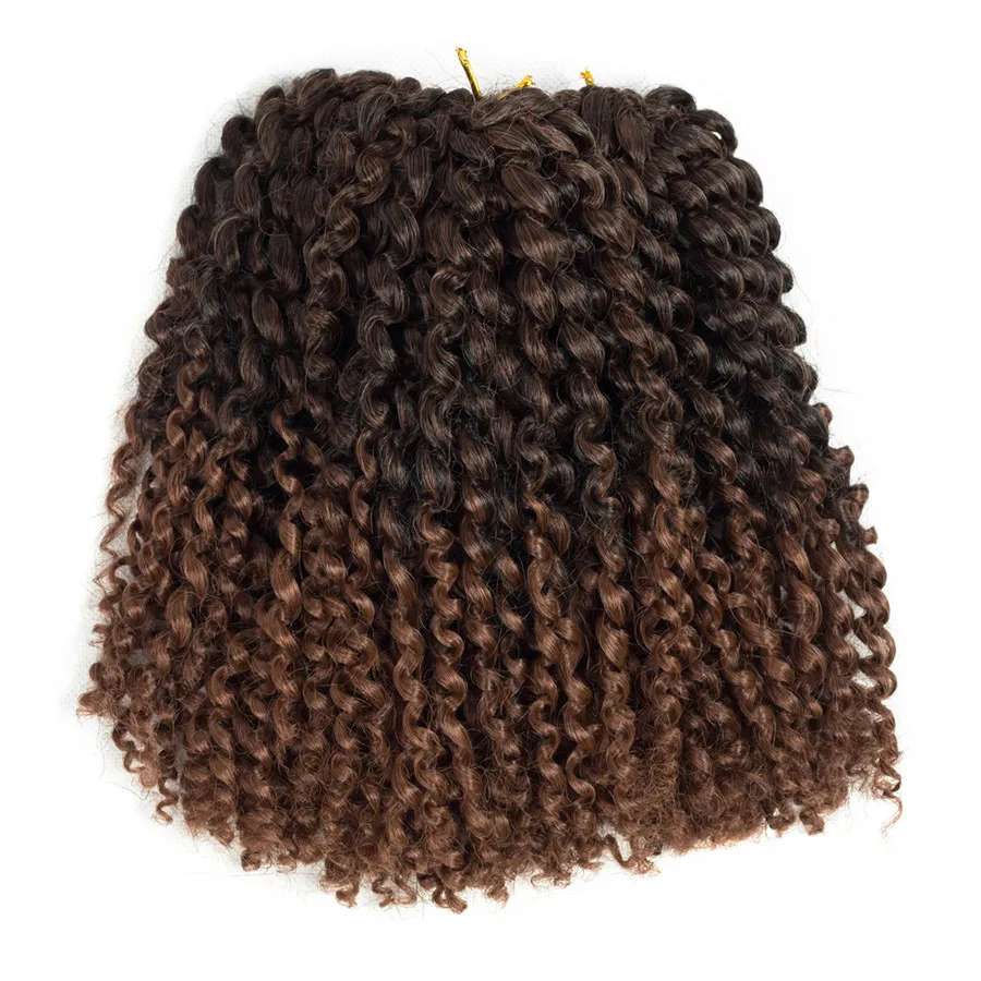 

XCCOCO Gray Ombre Hair Extensions Synthetic Marlybob Afro kinky curly crochet Braids