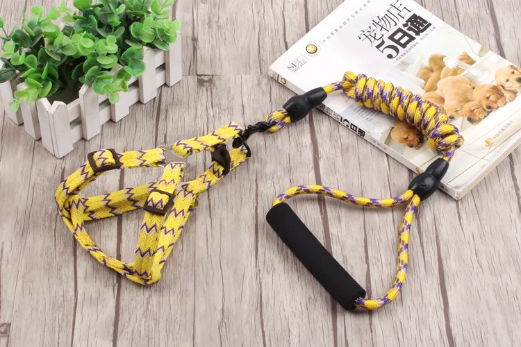 3464420228_621829584