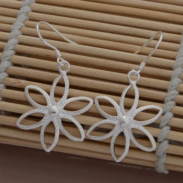 

wholesale High quality silver Fashion jewelry errrings WE-714