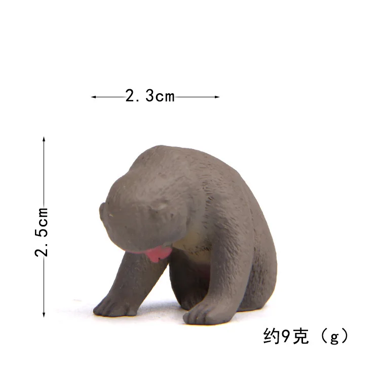 20190626_211556_118
