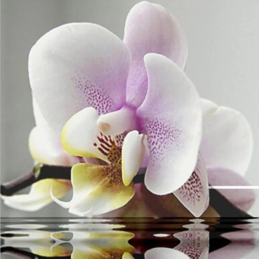 

full square 5d Picture Rhinestones Diamond Embroidery DIY Diamond Painting Diamond Mosaic flower orchid wall decor cross stitch
