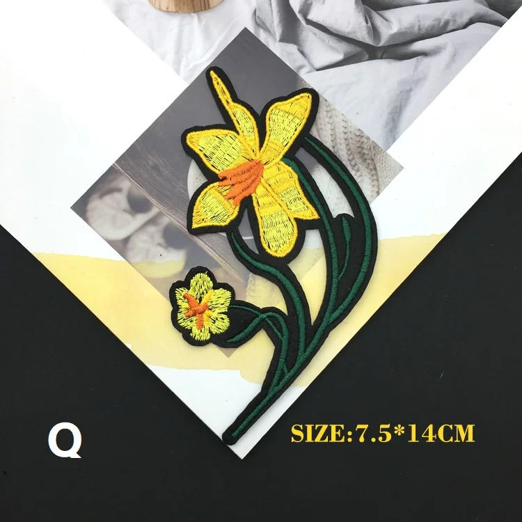 Q