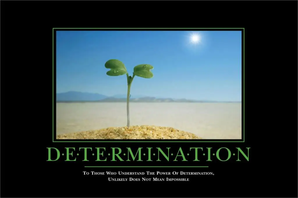 DIY frame DETERMINATION MOTIVATIONAL Poster Home Decorative painting