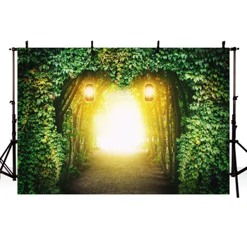 

MEHOFOTO Jungle Forest Trees Spring Sunlight Scenic Photography Backgrounds Customized Photographic Backdrops for Photo Studio