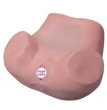 Normal palpation and visual inspection of uterus in gynecological examination model