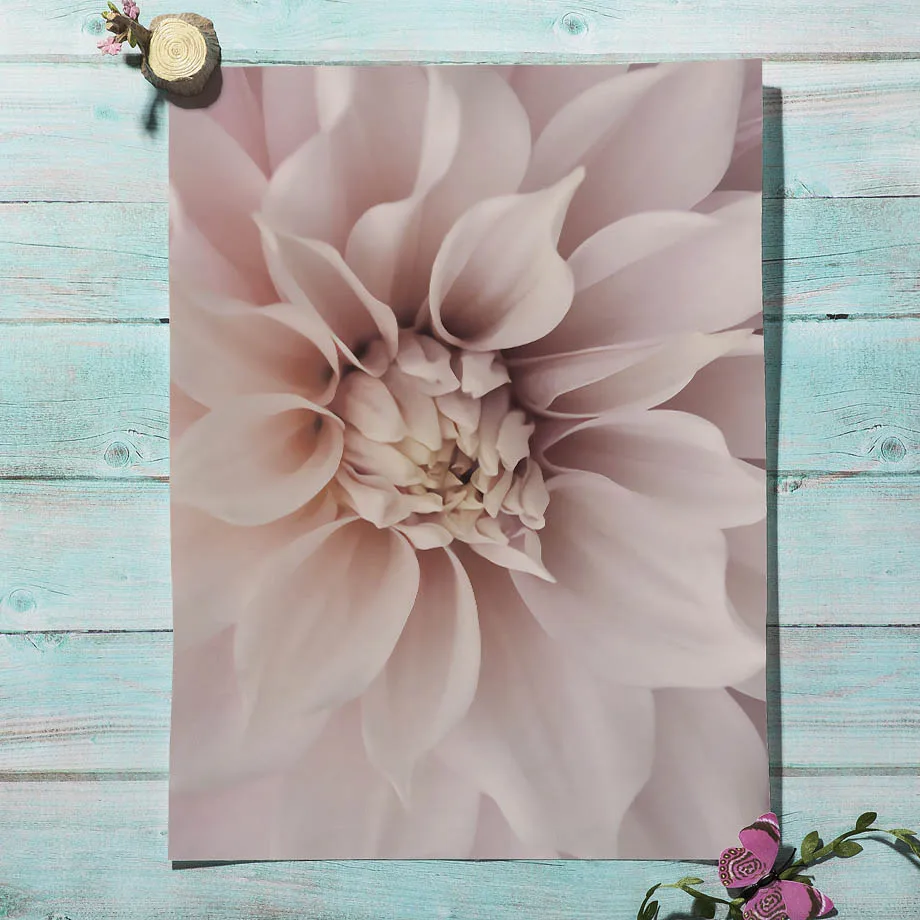 Flower-Desert-Plate-Abstract-Car-Nordic-Posters-And-Prints-Wall-Art-Canvas-Painting-Decoration-Pictures-For (3)