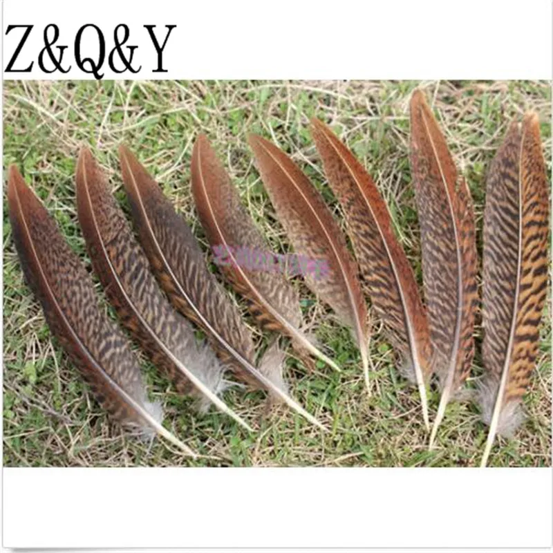 Z & Q Y Природный 25 виды перья фазана 20 PcsDIY перо Jewelry аксессуары для макияжа