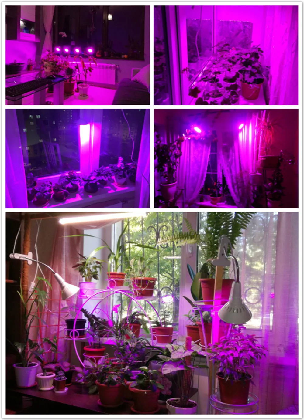 200 светодиодный светильник для выращивания растений, цветов, овощей, светильник s для комнатной теплицы, система гидропоники+ держатель для стола