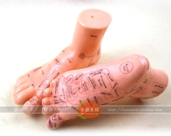 

Free shipping chinese medical therapy acupuncture relieving foot / body model ear auricular acupoint English version 17cm