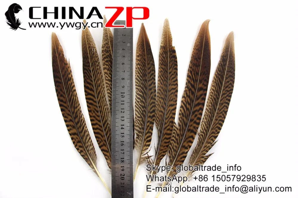 20-25cm Golden Pheasant Tail Feathers (4)